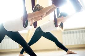 Image result for Aero Gymnastics Club