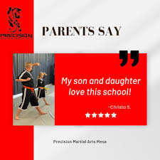 Image result for Precision Martial Arts