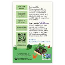 Afbeeldingsresultaat voor bianca a uovo eggplant