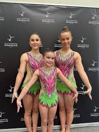 Image result for Southampton Gymnastics Club