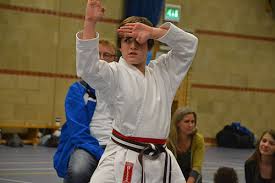 Image result for Backwell Karate