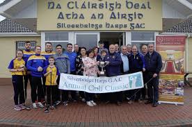Image result for Silverbridge Harps Gac