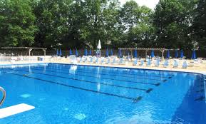 Image result for Buntingford Swimming Club