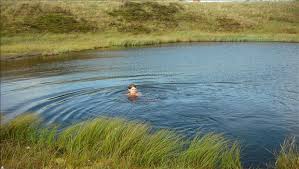 Image result for Leek Swimming Club