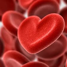 Image result for blood