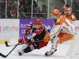Image result for Cardiff Devils
