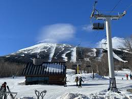 Image result for skiptondivers