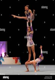 Image result for Harriers Acrobatic Gym Club