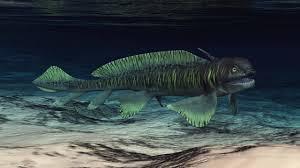 Image result for Ginglymostoma unami