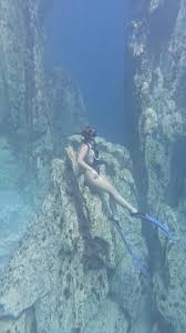 Image result for Dive Barracuda