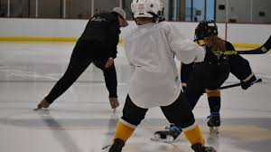 Image result for Pontypool Skater Hockey Club