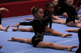 Image result for Appley Bridge Gymnastics Club