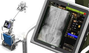 Image result for leicester dragons