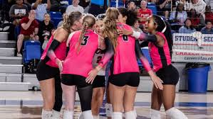 Image result for Ellesmere Port Eels Volleyball Club