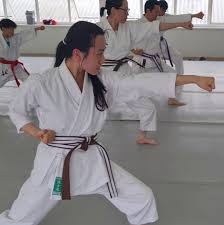 Image result for Plymouth Karate Club Kyokai