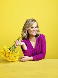 Image result for Bugaboo Cameleon Amy Poehler