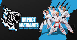 Image result for Impact Martial Arts