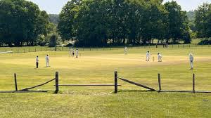 Image result for Forest Green Cricket Club