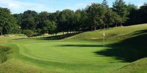 Image result for Leatherhead Golf Club