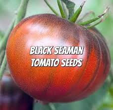 Afbeeldingsresultaat voor black sea man tomato