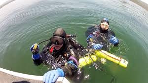 Image result for Duchy Divers