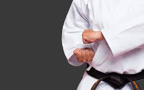Image result for Worcester and Pershore Shukokai