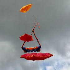 Image result for White Horse Kite Fliers Club