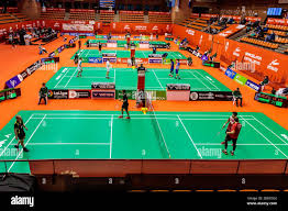 Image result for Olympic Badminton Club