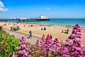 Image result for Eastbourne Edge Senior