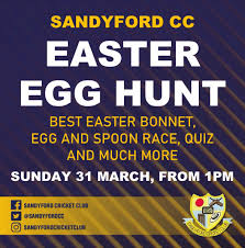 Image result for Sandyford Cricket Club