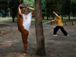 Image result for kung fu