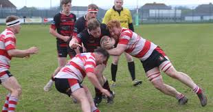 Image result for Milford Haven R F C