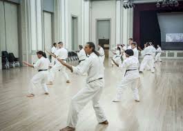 Image result for York University Karate Club