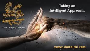 Image result for Intelligent Martial Arts