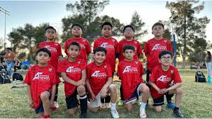 Image result for Phoenix Old Boys Football Club