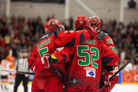 Image result for Cardiff Devils