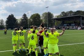 Image result for Basingstoke Demons Floorball Club