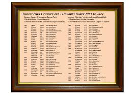 Image result for Buscot Park Cricket Club