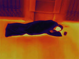 Image result for antoine d