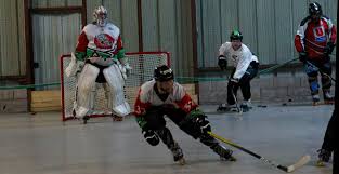 Image result for Piranhas Inline Hockey Club