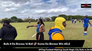Image result for Kirkcaldy Bulls Flag football Club