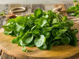 Image result for Brunnenkresse