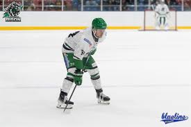 Image result for Basingstoke Bison Ice Hockey Club