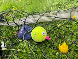 Image result for Heworth Tennis Club