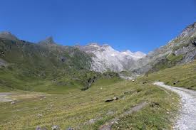 Attēlu rezultāti vaicājumam “Pyrgus alveus underside”