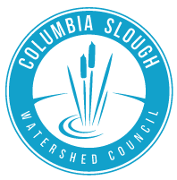 Image result for Slough Pirates