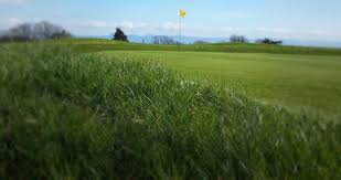 Image result for Criccieth Golf Club