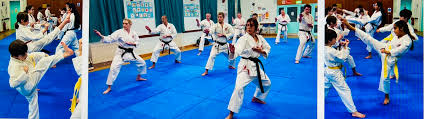 Image result for Windsor Karate Club