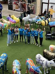 Image result for Bytomic Taekwondo Aylesbury