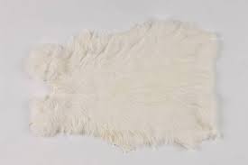 Image result for white rabbit skin texture